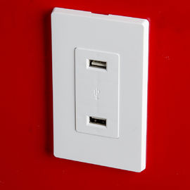 ΛΔ-U001 4.2A έξυπνη έξοδος φορτιστή USB υψηλής ταχύτητας, 2 θύρες USB με 2 πλάκες τοίχου