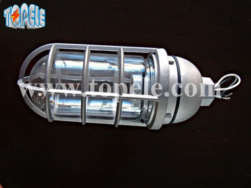 100W 220V Μπρόουν Γκρέι IP65 Ατμοστεγείς Φώτα Πεθαίνουν - Χυτοχάλυβα